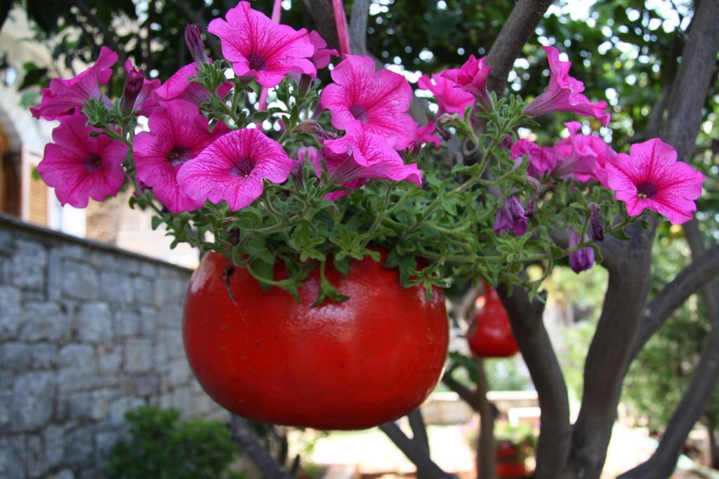 Anna Maria Studios Agios Nikolaos  Exterior foto